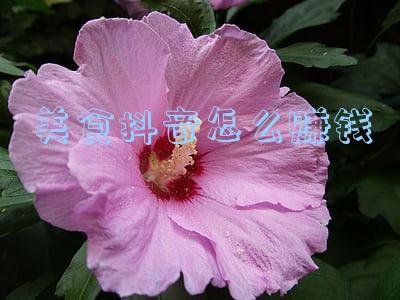 天谕美食家怎么赚钱(天谕手游：什么身份职业赚钱，高收益职业推荐)