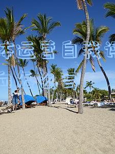 新媒体运营的自我评价怎么写(想从事新媒体运营，需要具备哪些技能？)