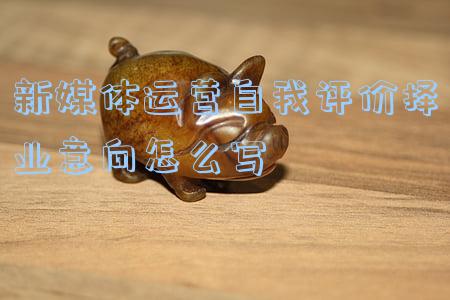 如何写自我评价和择业意向(助大学生找到人生和职业定位)
