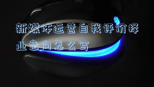 与新媒体运营有关的自我评价(满足细分需求 激发消费潜力)