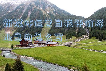 自我评价和择业意向(再次成功择业有感)