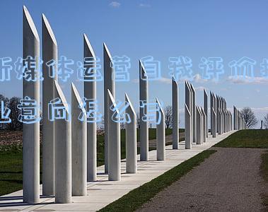 新媒体运营自我评价择业意向怎么写