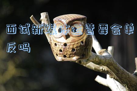 面试新媒体运营要会单反吗