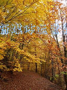 新媒体运营复试一般都问什么(安利：新媒体运营高频面试问题回答集锦)