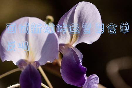 面试新媒体运营要会单反吗