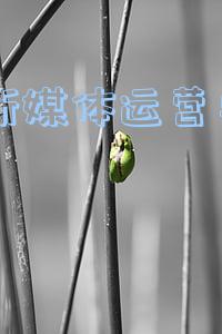面试新媒体运营需要了解的问题(实习面试新媒体运营，有哪些问题值得注意？)