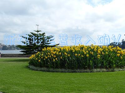 新媒体运营收入怎么样(现在新媒体运营的工资是多少？为什么武汉的运营工资那么低？)