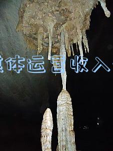 新媒体运营平均工资(屡创新高！2021年新华学子薪资盘点)