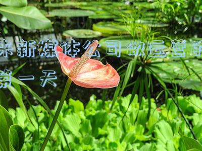 新媒体运营干嘛的(何为新媒体运营？运营人都来看看啦)