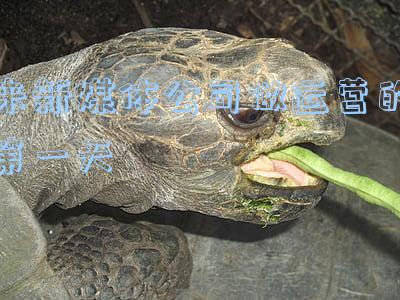 来新媒体公司做运营的第一天