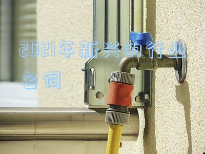 2021年新兴的行业名词