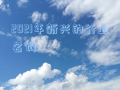 2021年新兴的行业名词