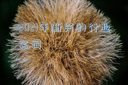 2021年最具发展的行业(王鹏：新能源机会比3个月前更多，四大行业未来三年空间最大)