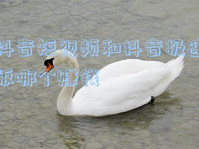 抖音短视频和抖音极速版哪个赚钱
