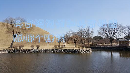 抖音短视频和抖音极速版哪个赚钱