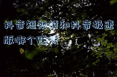 抖音短视频和抖音极速版哪个赚钱