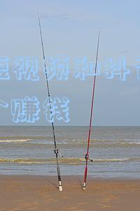 抖音短视频和抖音极速版哪个赚钱