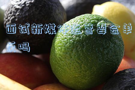 尼康最新款单反相机(新一代全画幅单反相机 尼康D780抢先看)