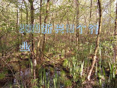 2019新兴13个行业