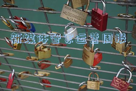 新媒体管家运营周报