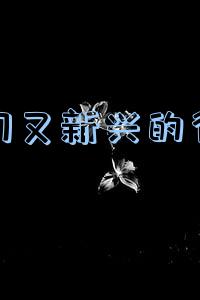 冷门又新兴的行业