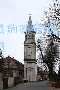 为啥我的抖音极速版没有赚钱