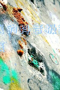 为啥我的抖音极速版没有赚钱