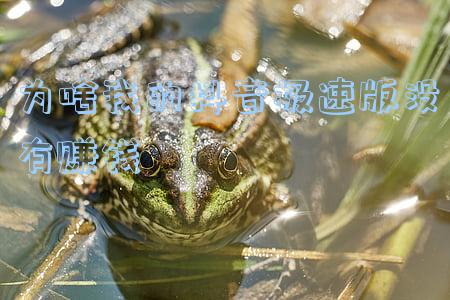 抖音极速版怎么赚钱(抖音极速版赚钱方法)