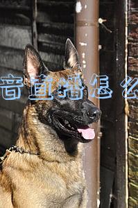 抖音直播怎么开美颜(抖音直播怎么开美颜和滤镜好看)