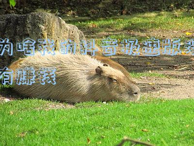 为啥我的抖音极速版没有赚钱