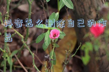 抖音怎么批量删除自己的作品(抖音怎么批量删除自己的作品?)