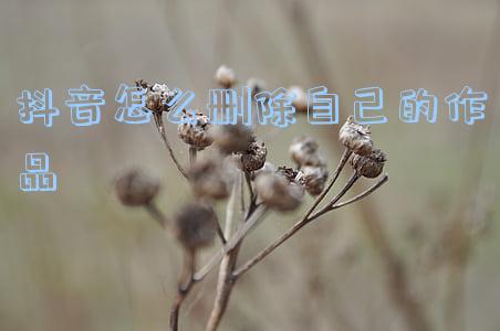 抖音极速版怎么删除自己的作品(抖音自己作品如何删除)