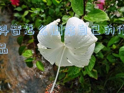 抖音怎么删除自己的作品2021(抖音怎么删除自己的作品2021)