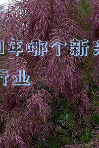未来新兴行业有哪些(影响 2022 年的十大科技应用趋势)