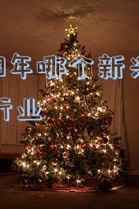2019年哪个城市买房压力最小(机构：新青年成购房主力军，一线城市女性置业占比升至48%)