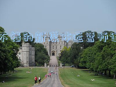 新媒体运营师证书(新媒体行业技能证书有哪些？「中国管理科学学会培训中心」)