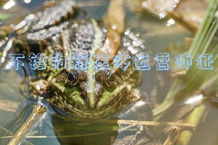 不错的新媒体运营师证