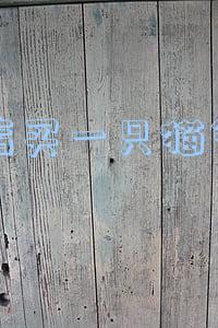 买一只猫大概多少钱(购买一只猫正常多少钱)