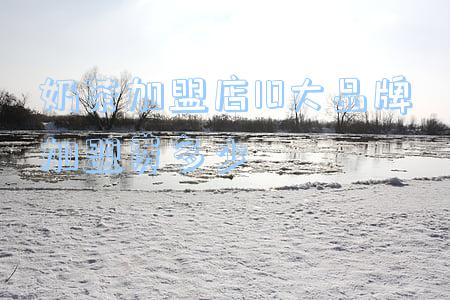 奶茶店加盟店10大品牌(奶茶店加盟店10大品牌排行)
