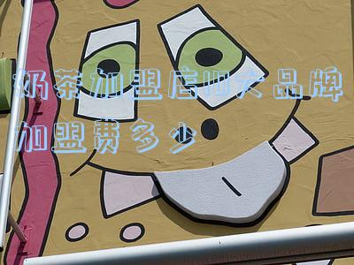 奶茶加盟10大品牌(十大全国加盟奶茶)