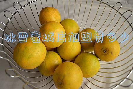 冰雪蜜城店加盟费多少