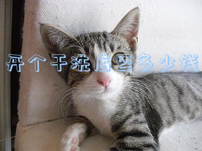 开干洗店机器多少钱(干洗店需要多少钱?)