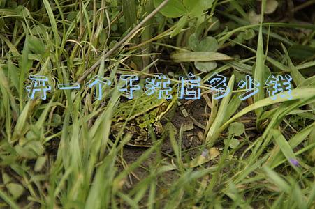 开一个干洗店策划案