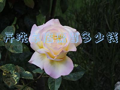 洗车店价格表(洗车店价格表尺寸)