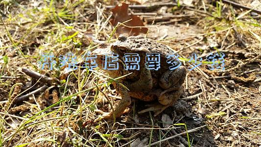 开洗车店需要多少钱怎么样