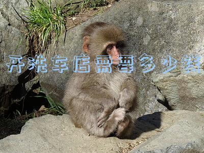 开家洗车店要多少钱(创业洗车店需要多少钱)