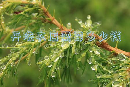 开洗衣店需要多少钱怎么样(开家洗衣店的费用)