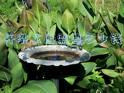 开洗衣店需要多少钱 开洗衣店需要多少钱