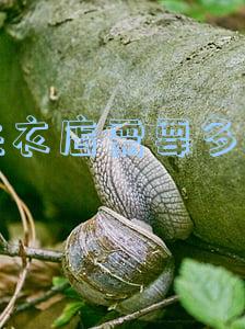 开洗衣店要多少钱