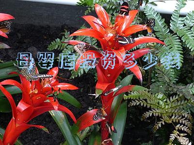 母婴店加盟品(母婴店加盟品牌十大排行榜)